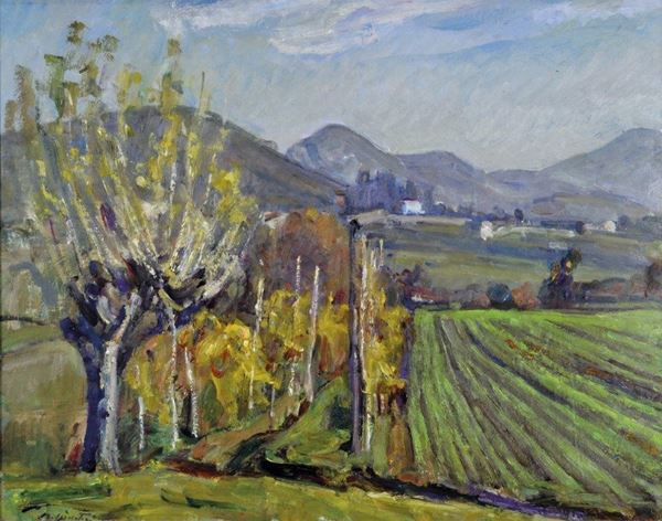 MARIO DISERTORI - Novembre sui colli 1969