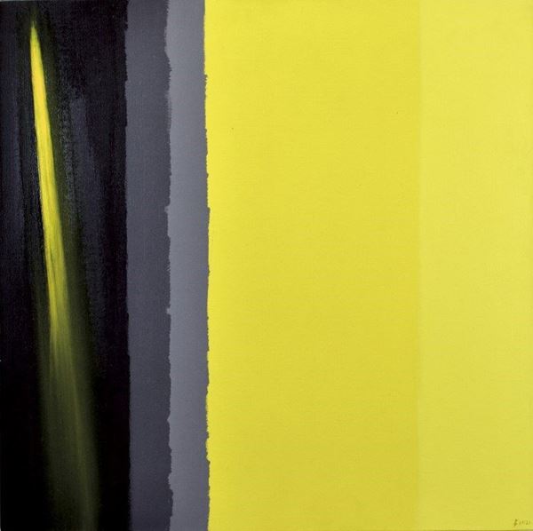 ENNIO FINZI - Contrasti in nero-grigio-giallo 2001