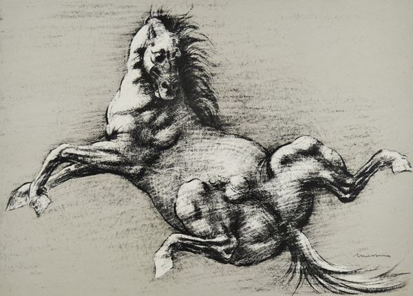 FRANCESCO MESSINA - Cavallo