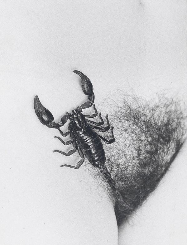 JOAN FONTCUBERTA - Senza titolo
