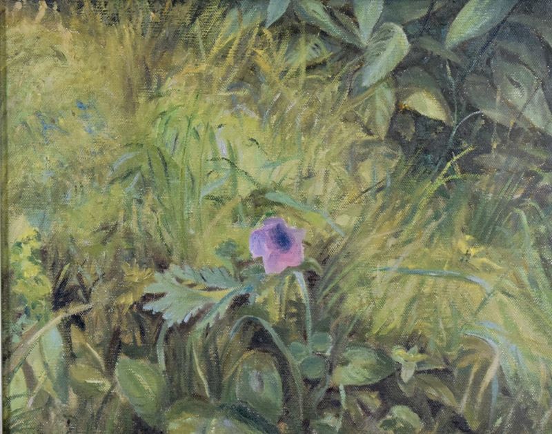 Prato con fiore