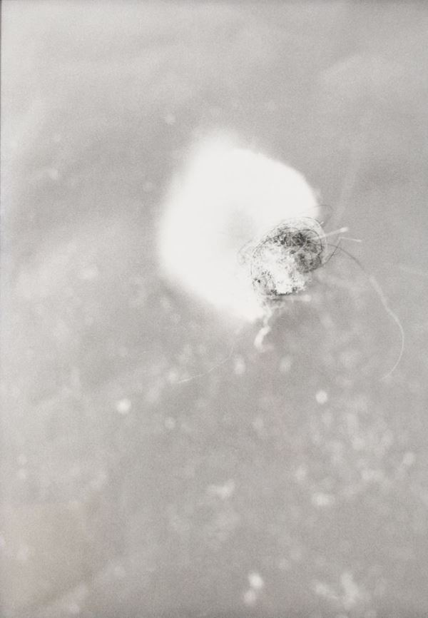 MIKE KELLEY - senza titolo