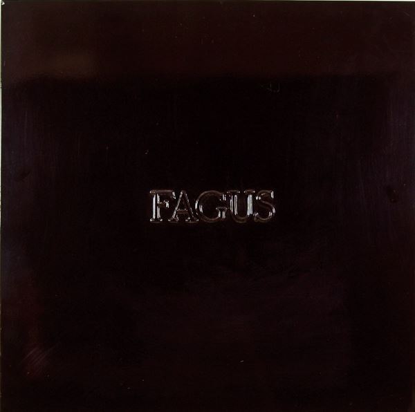 ALIGHIERO BOETTI - Fagus