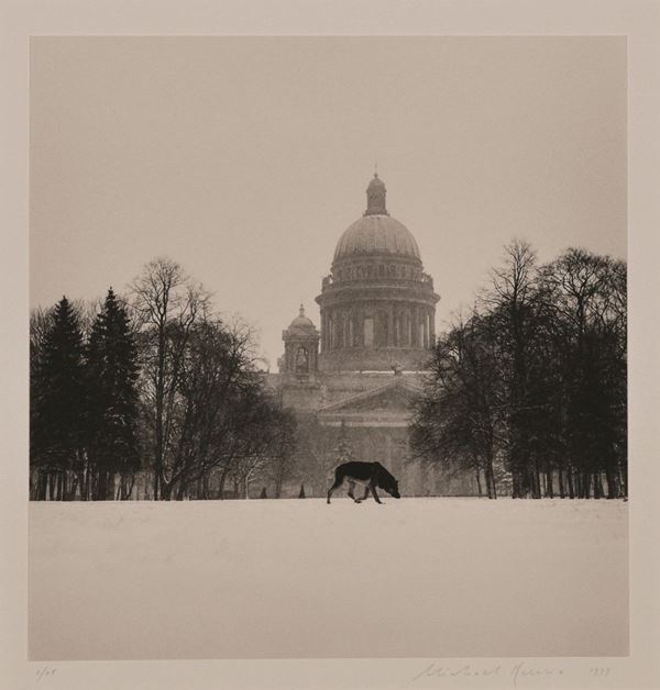 Cold dog in Decembrist Square, Saint Petersburg 