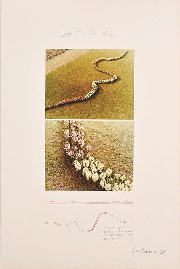 PETER HUTCHINSON - Thrown rope piece #2, Hyacyths in the form of a thrown rope at Haus Lange