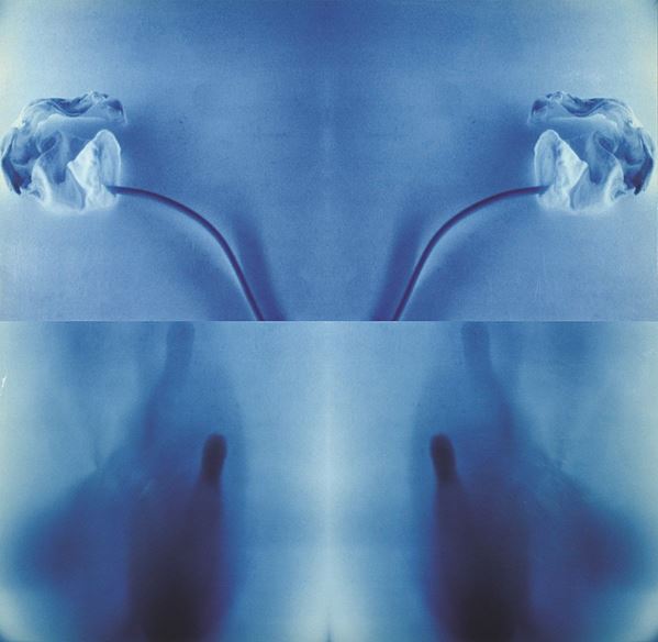 STEFANO CAGOL - On the moon