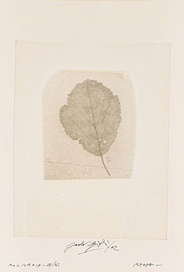 PAOLO GIOLI - Polaroid - B/N