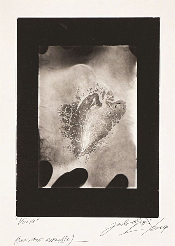 PAOLO GIOLI - Vulva (contatto riflesso)