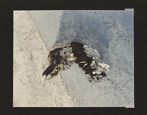 GUIDO GUIDI - Polonia