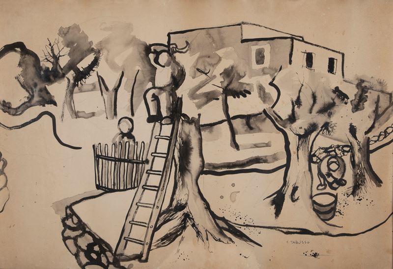 Raccolta delle olive