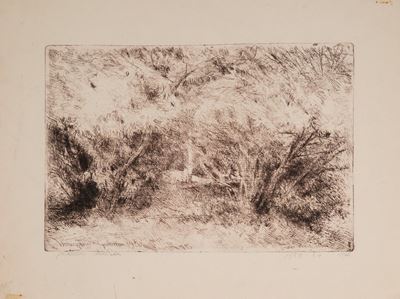 Paesaggio