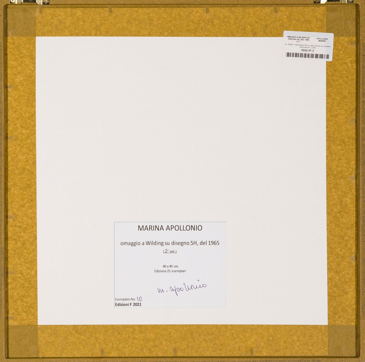 Marina Apollonio - Omaggio a Wilding su Disegno 5h, del 1965