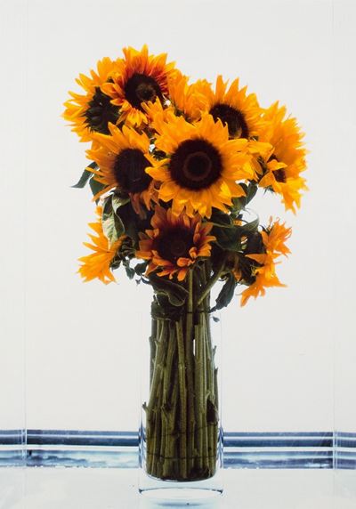 Frozen Sunflowers