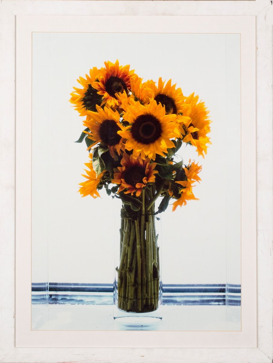 Marc Quinn - Frozen Sunflowers