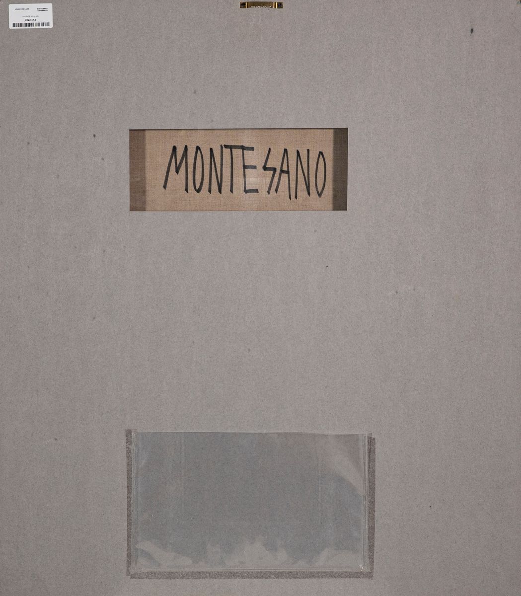 Gianmarco Montesano - Senza Titolo