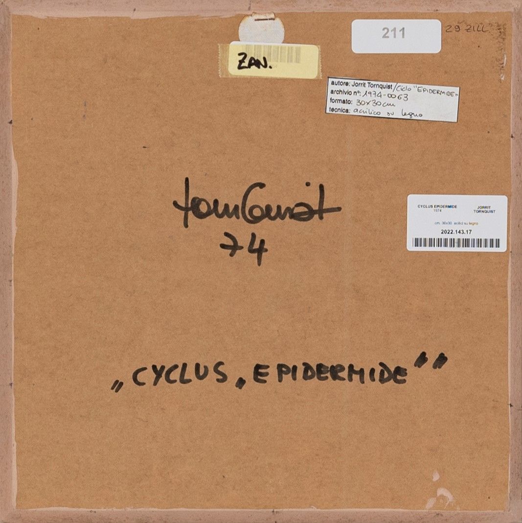 Cyclus epidermide