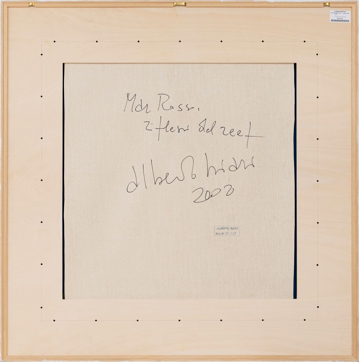 Mar rosso, riflessi del reef
