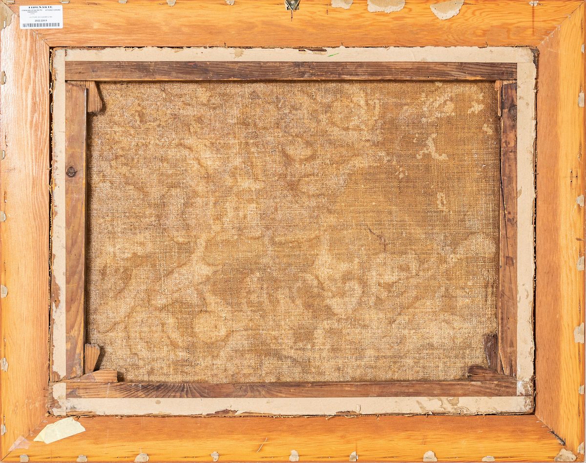 Corsa nelle saline più paesaggio