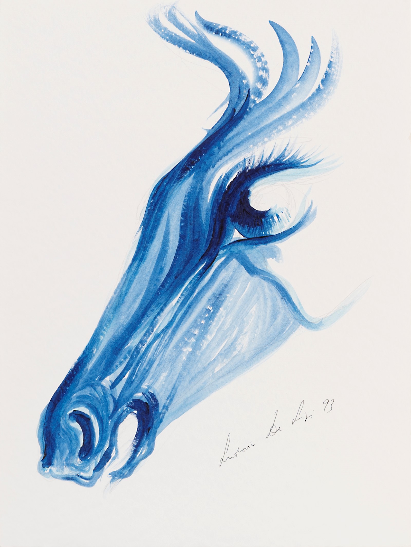 Testa di cavallo