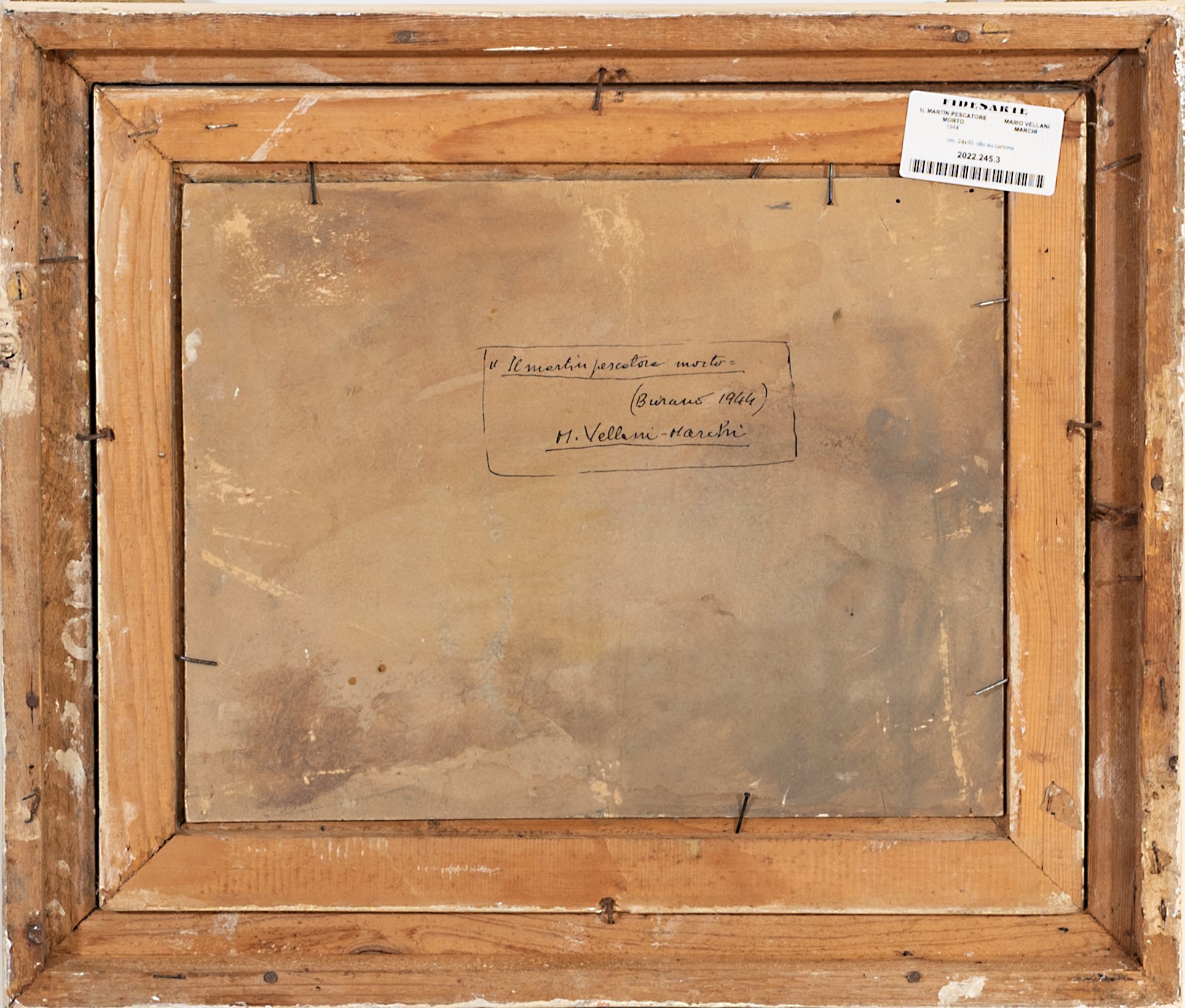 Il Martin pescatore morto