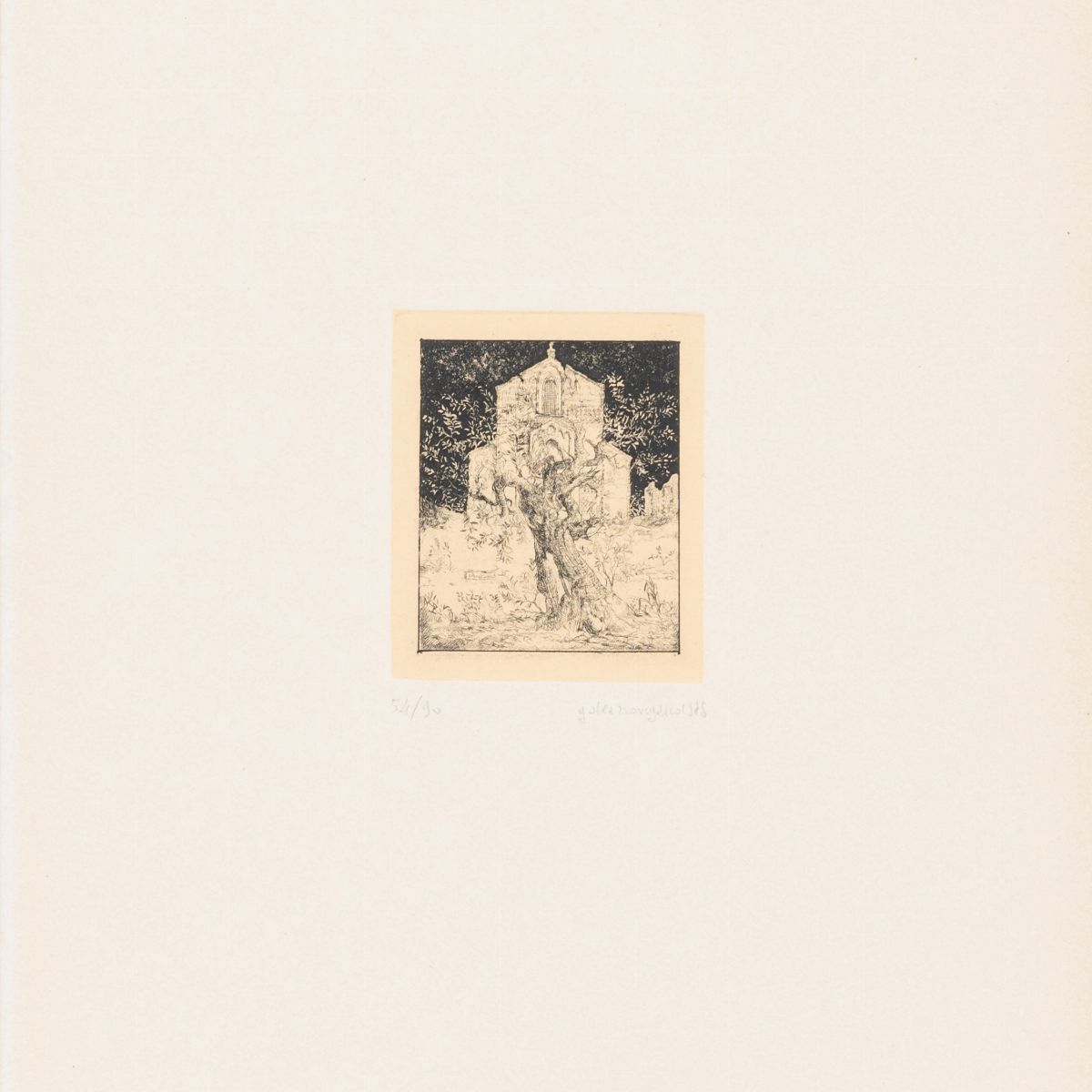 Tre chiese brindisine e gli ulivi