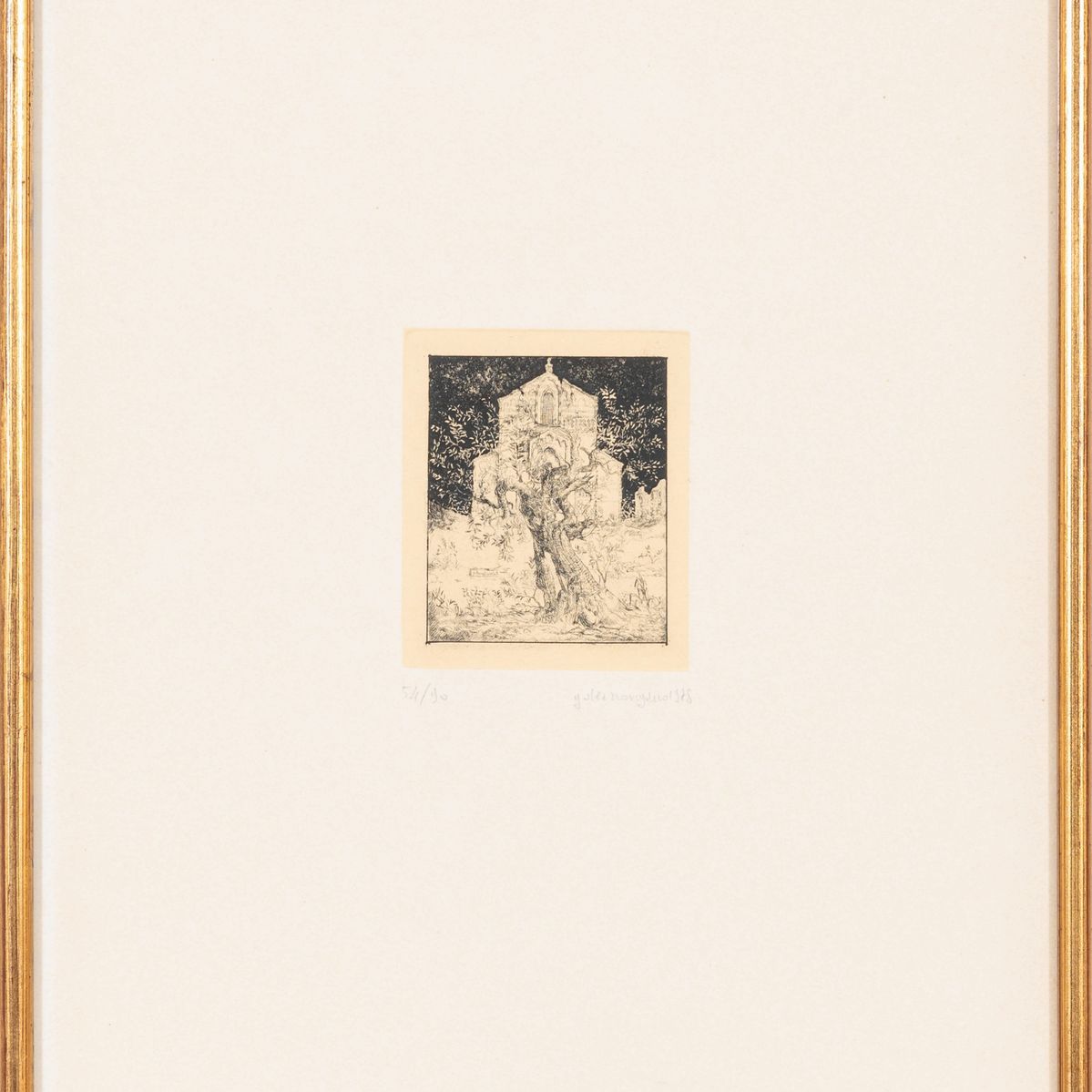 Tre chiese brindisine e gli ulivi