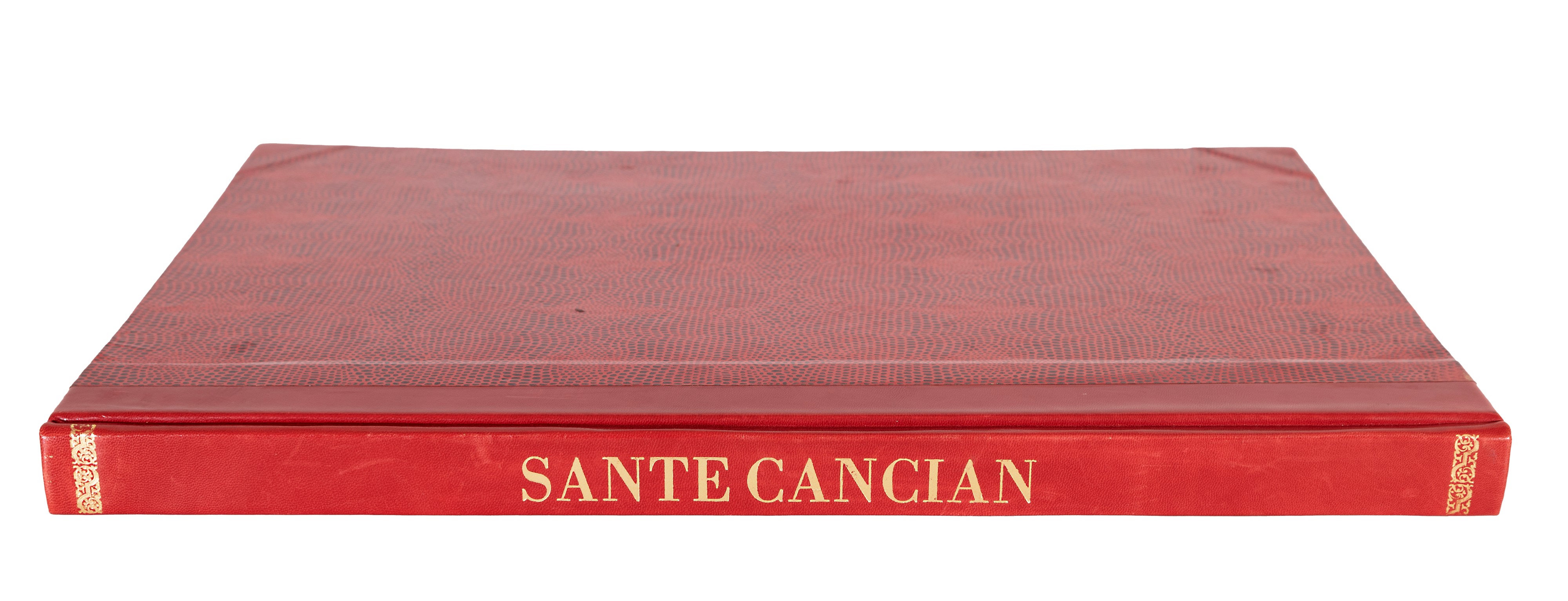 Ritratti, caricature