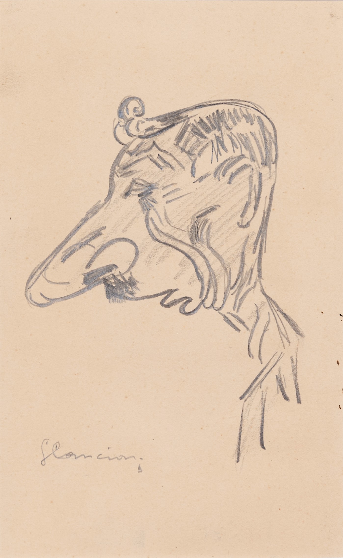 Ritratti, caricature