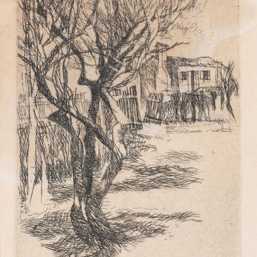 Alberi d'inverno