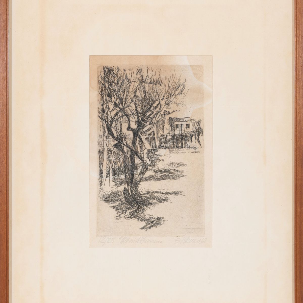 Alberi d'inverno