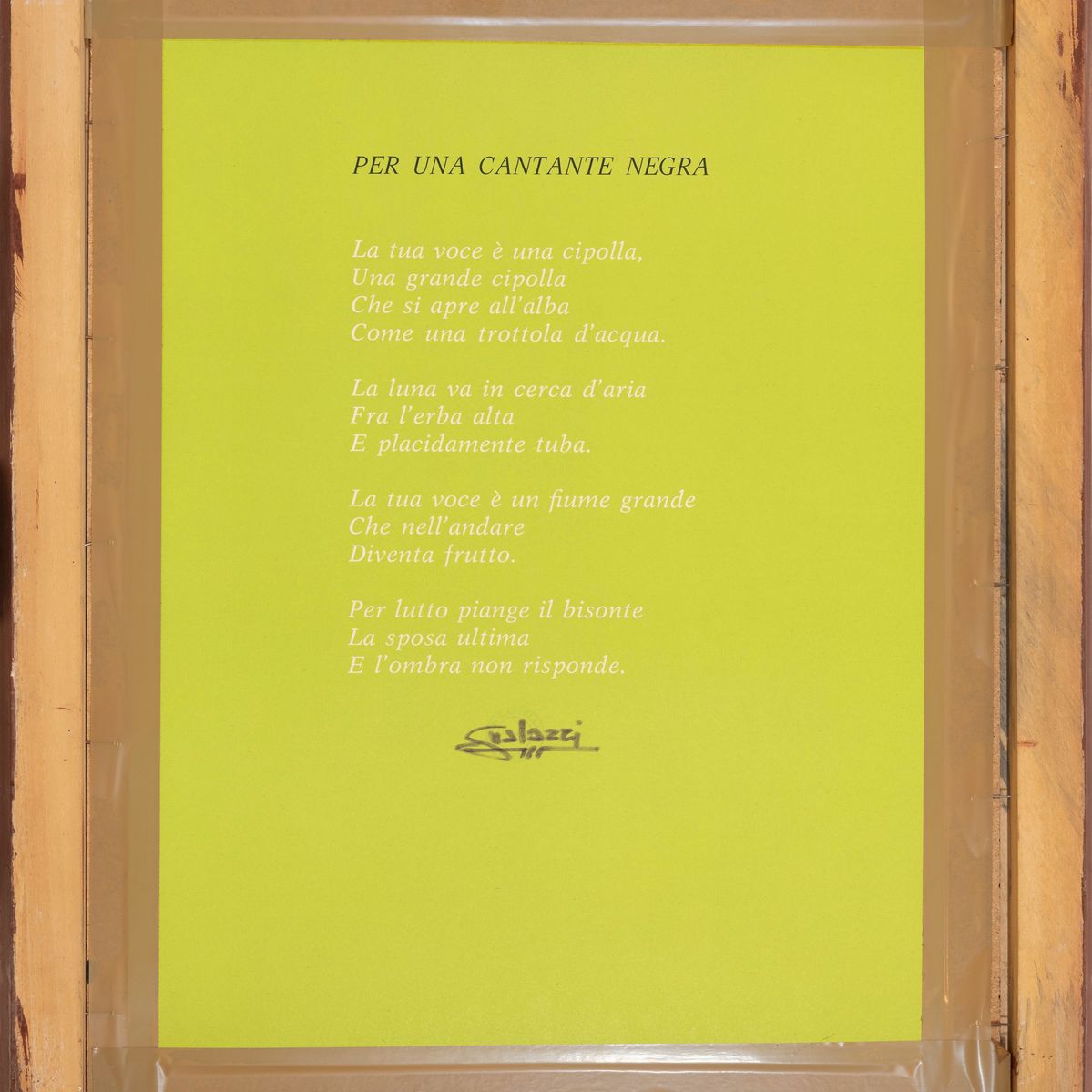 Per una cantante negra