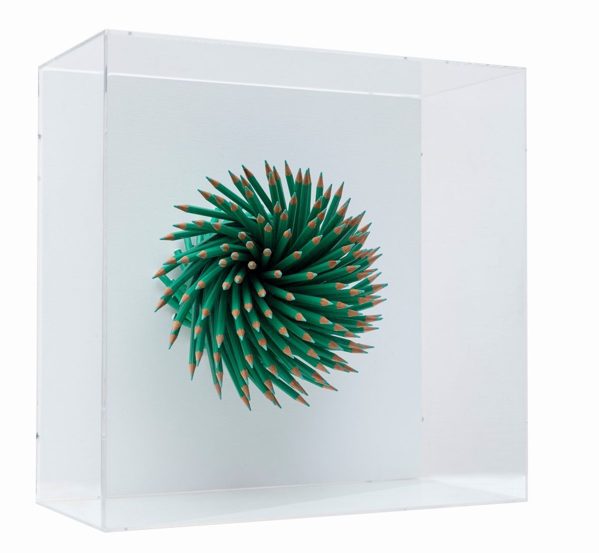 Paola Pezzi - Matita Verde
