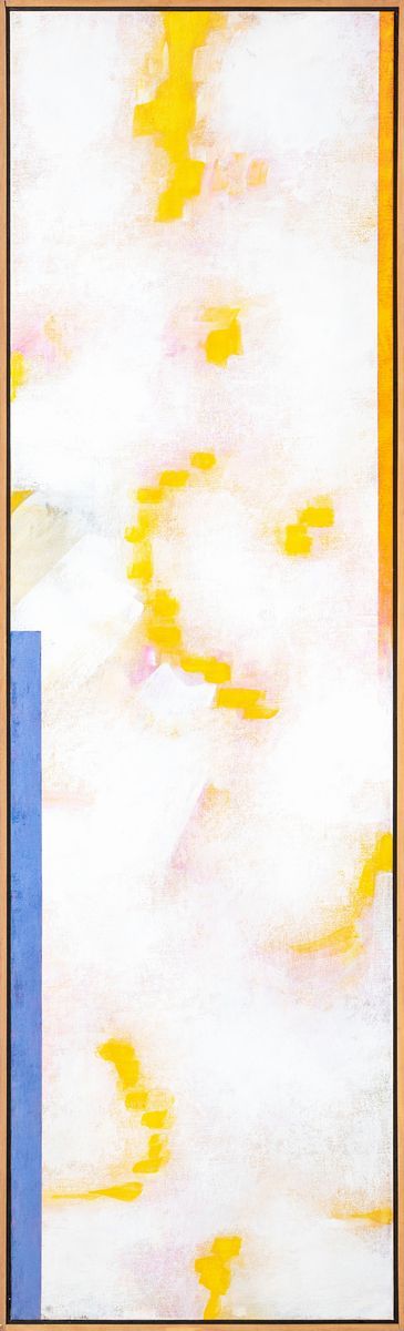 Le pieghe del bianco