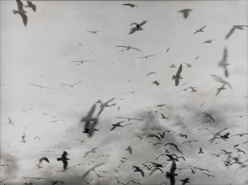 Mario Giacomelli - Senza Titolo