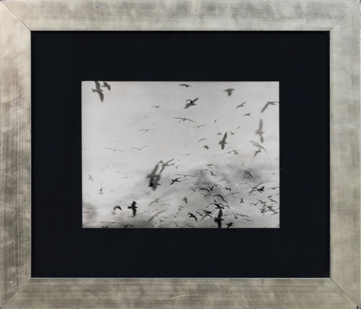 Mario Giacomelli - Senza Titolo