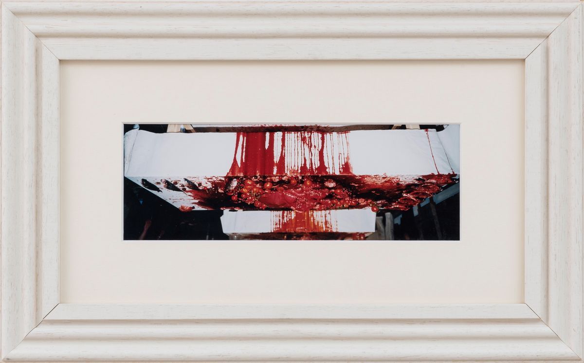 Hermann Nitsch - Santa Lucia 77. Blut. Opfer. Operation.
