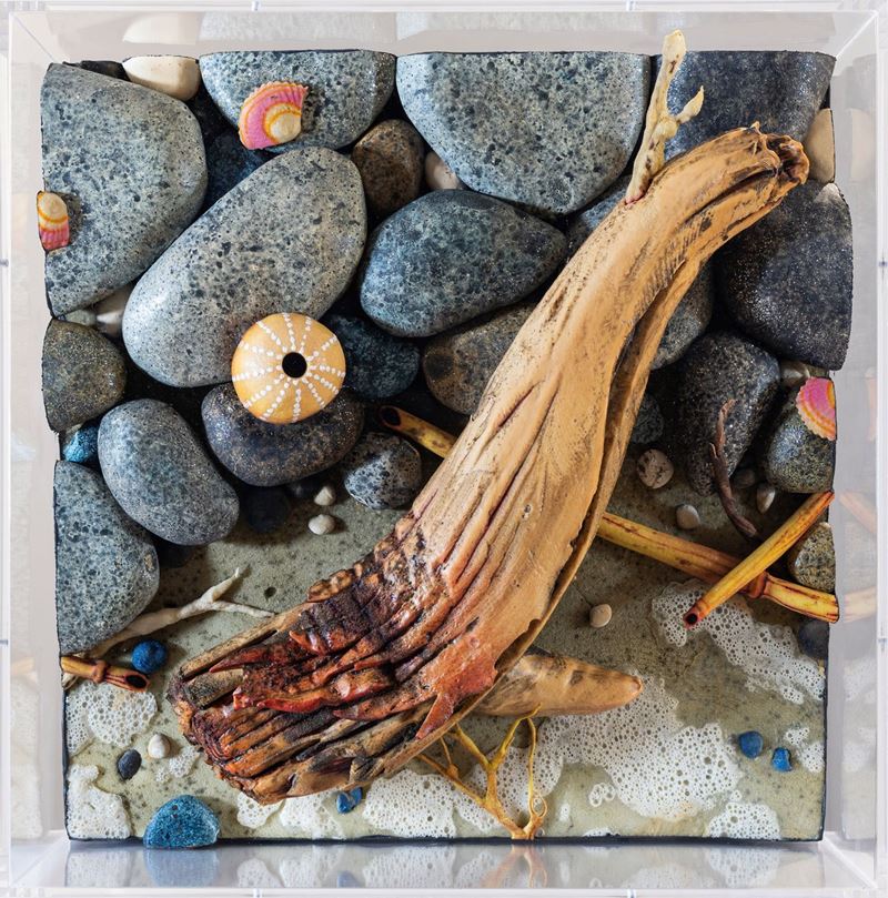 Schiuma sulla spiaggia