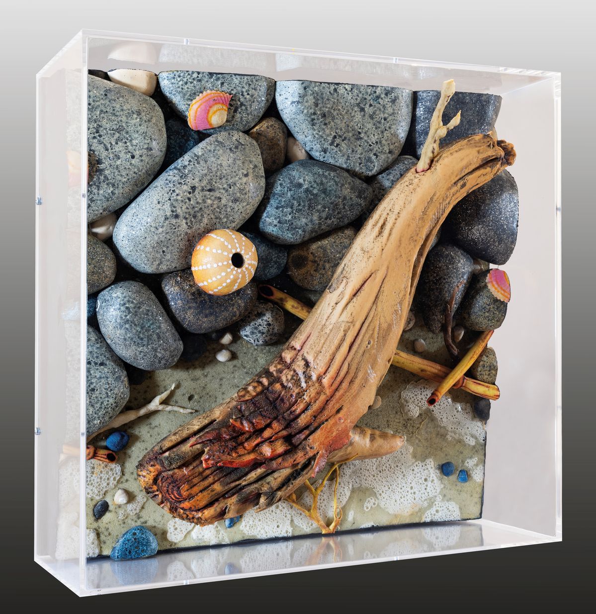 Schiuma sulla spiaggia