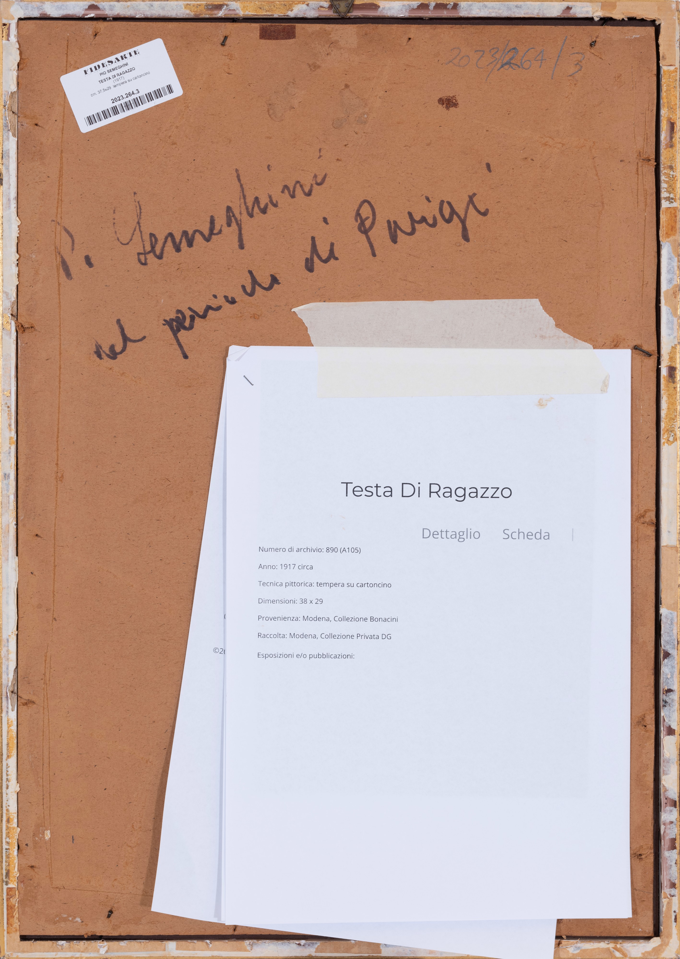 Testa di ragazzo