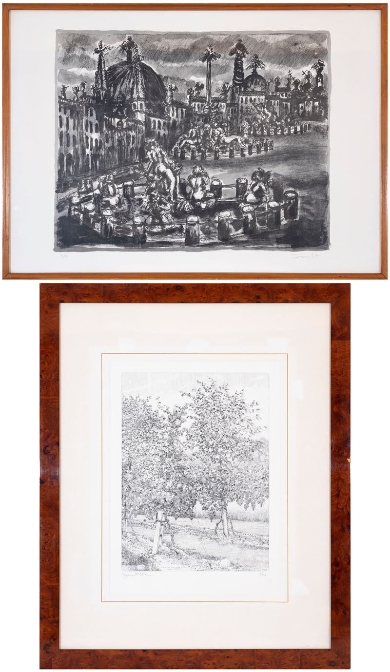 Paesaggio - Vendemmia