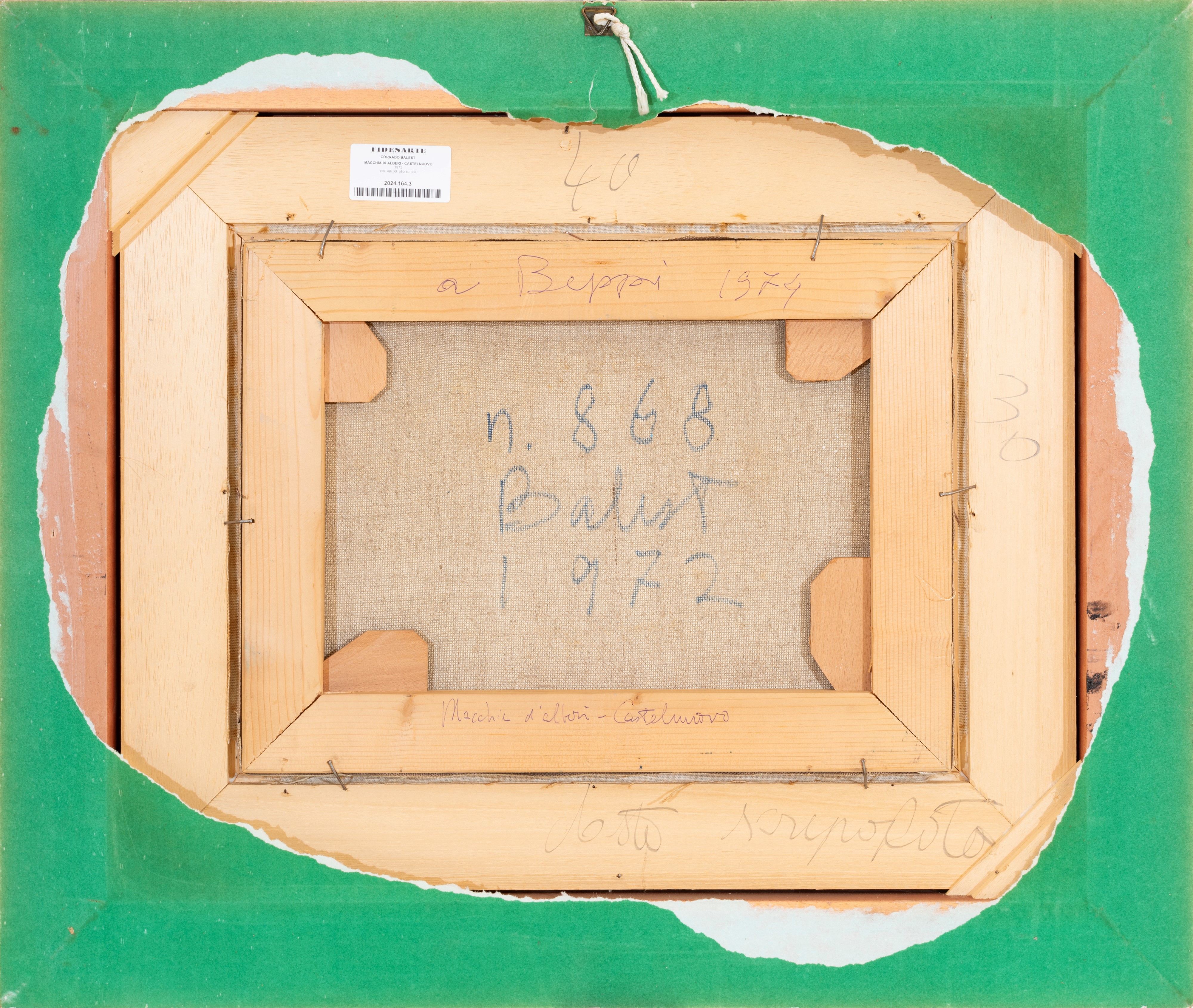 Macchia di alberi - Castelnuovo