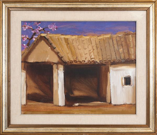 SAVERIO BARBARO - Shed in the sun