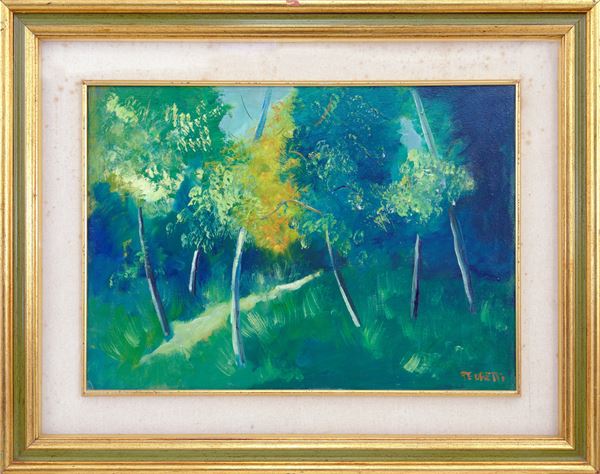 ANTONIO  PEDRETTI - Il sentiero nel bosco