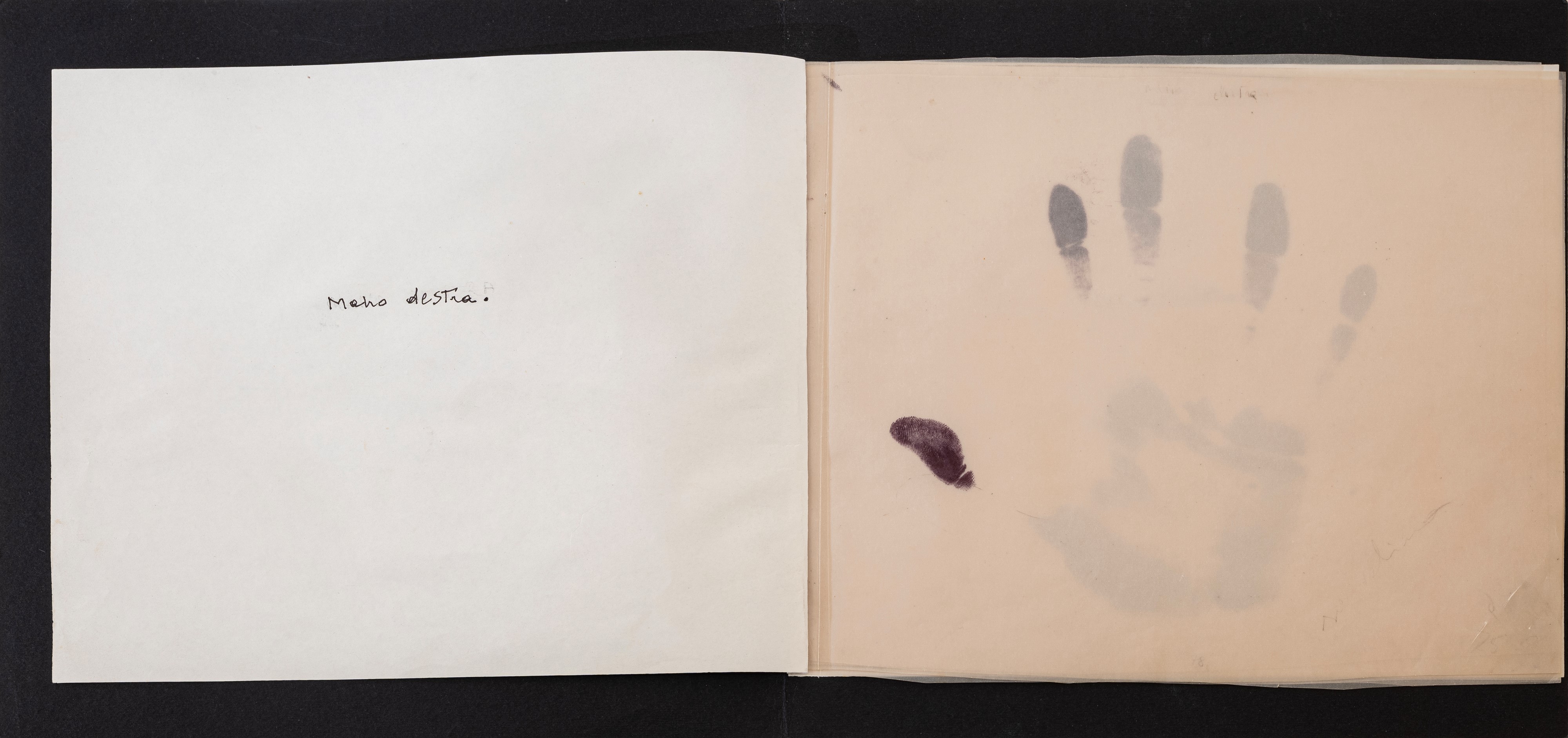 Libro d'Artista - La coscienza di sè.....