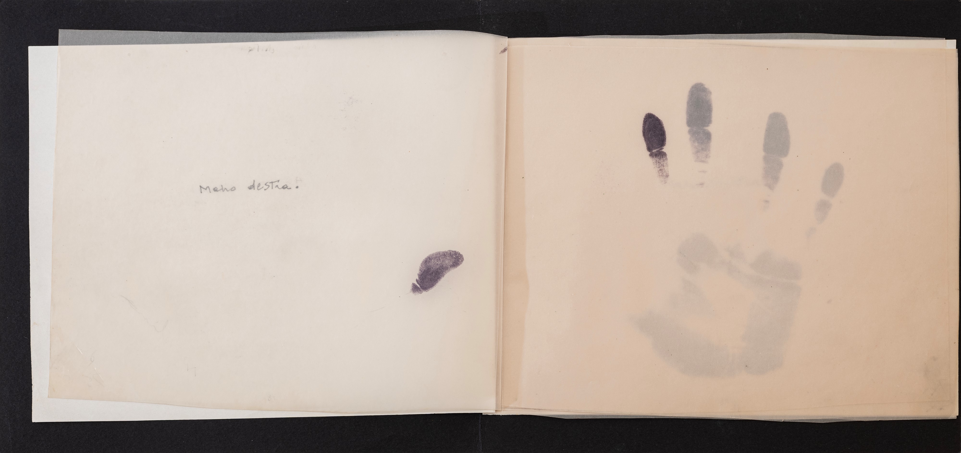 Libro d'Artista - La coscienza di sè.....