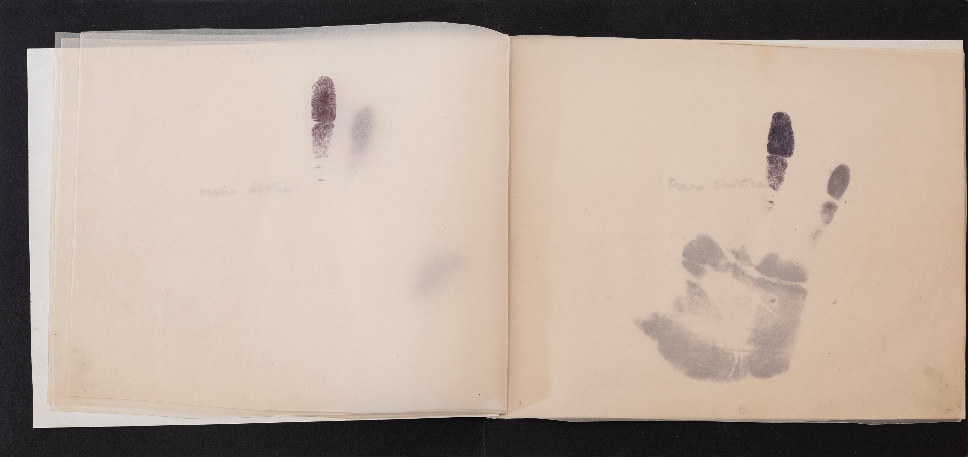 Libro d'Artista - La coscienza di sè.....