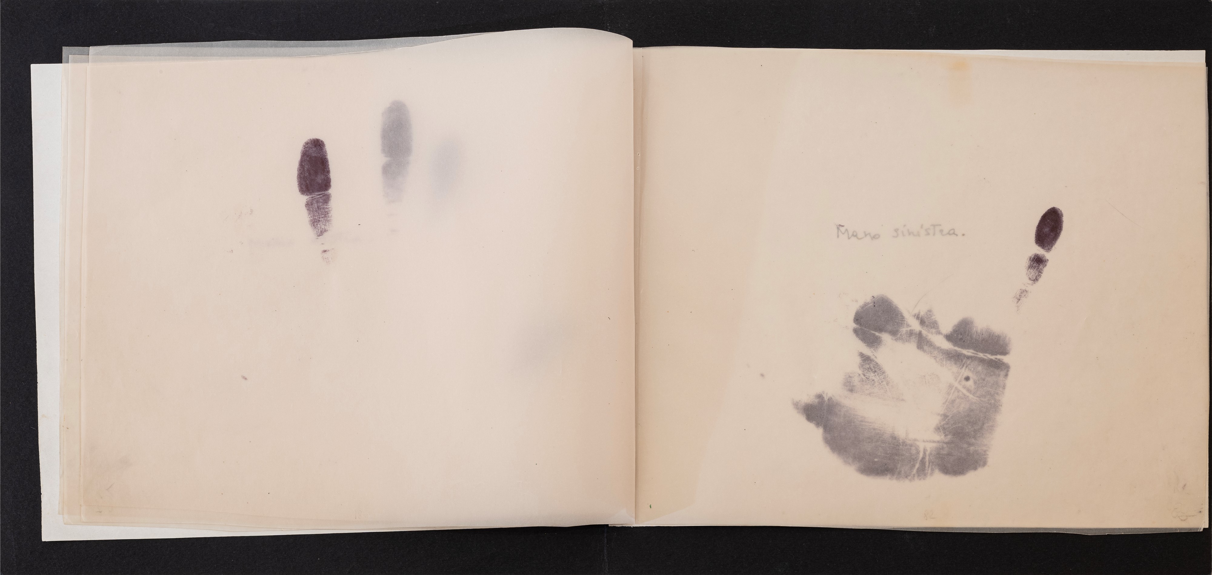 Libro d'Artista - La coscienza di sè.....