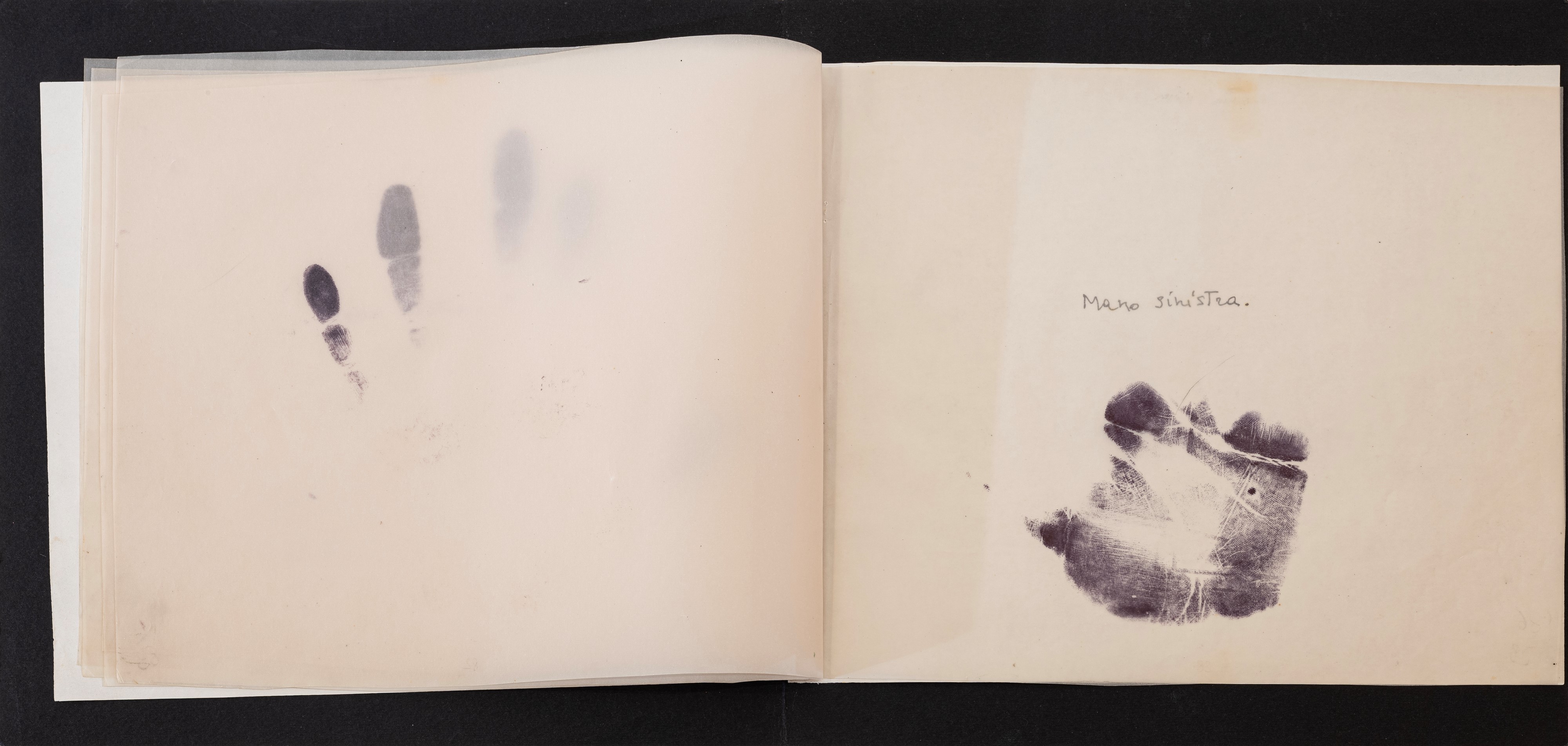 Libro d'Artista - La coscienza di sè.....