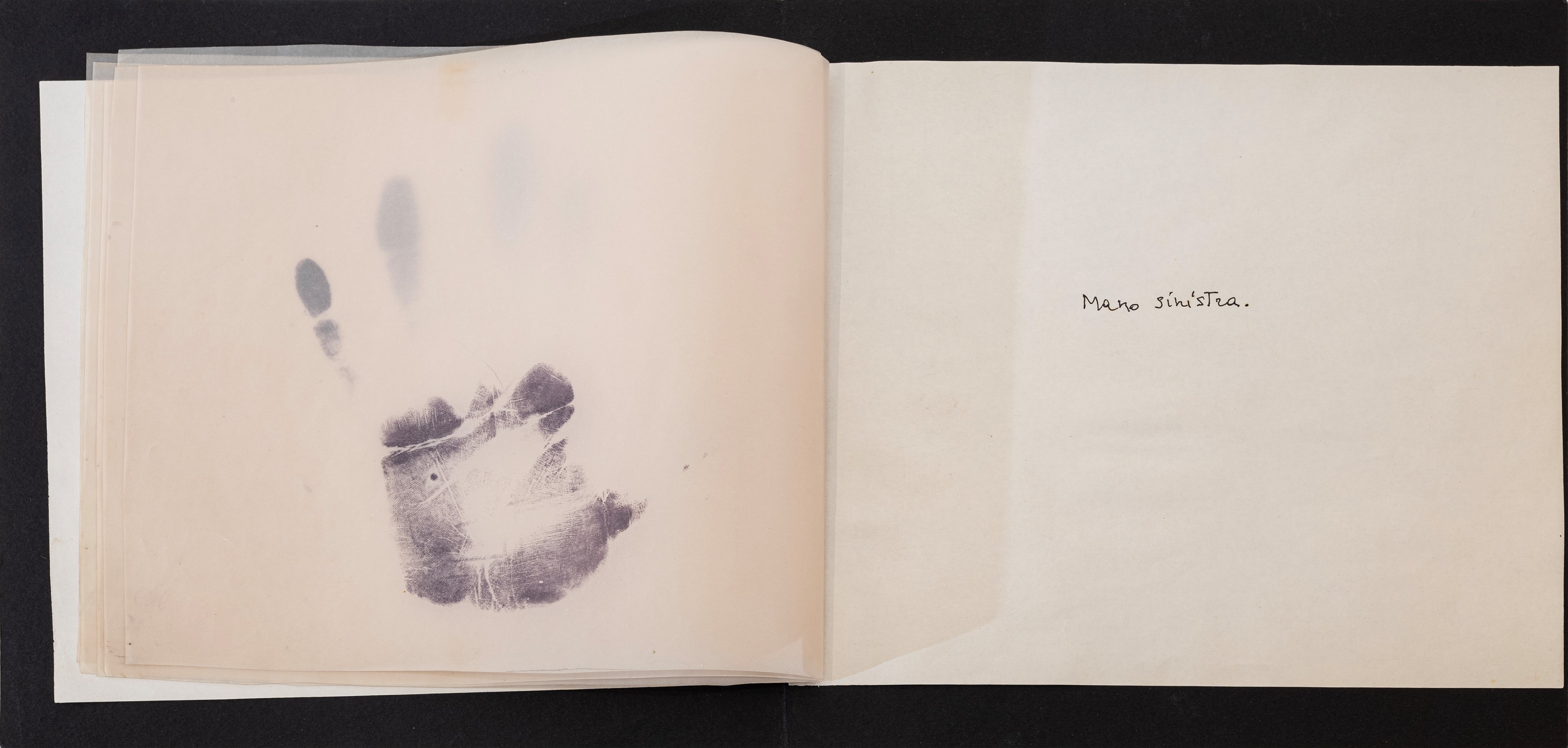 Libro d'Artista - La coscienza di sè.....