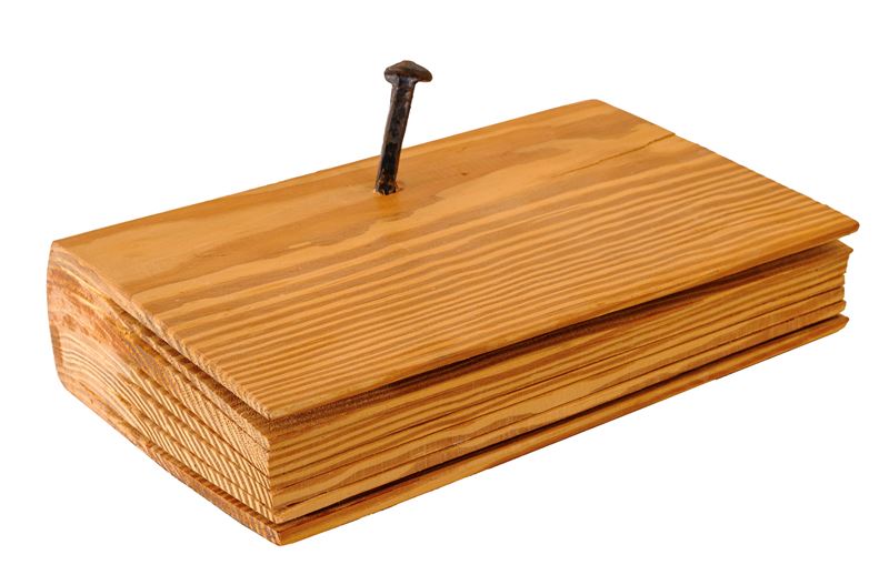 Libro muto